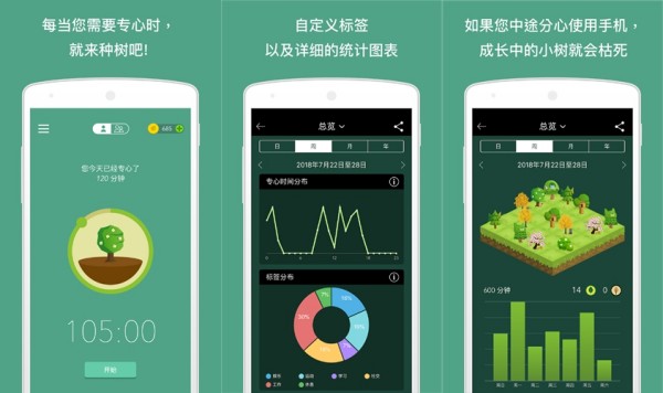 专注森林