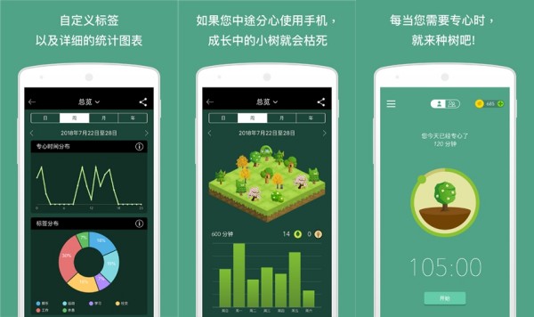 专注森林