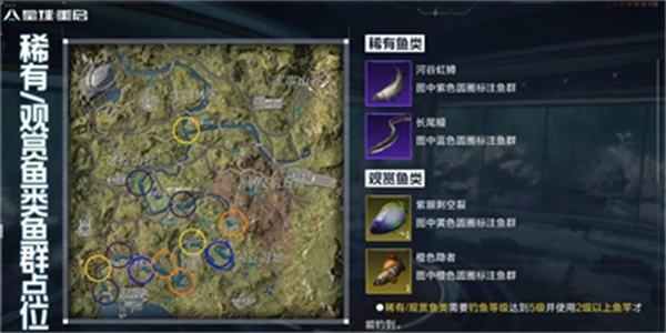星球重启稀有鱼钓鱼点在哪