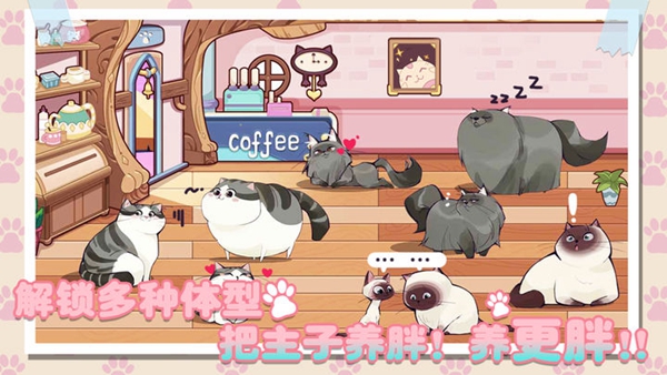猫咪森林